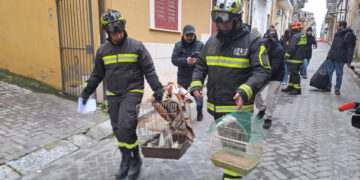 Coi pompieri nella zona rossa, a Niscemi si recuperano i ricordi