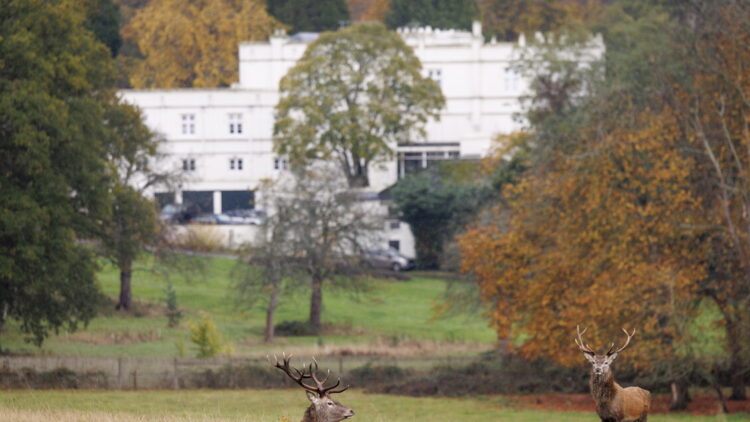 Bbc, ‘l’ex principe Andrea ha lasciato la residenza di Windsor’