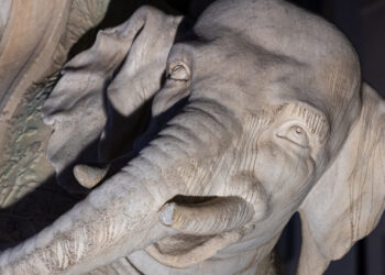 Danneggiata la statua dell’elefantino del Bernini a Roma, ‘indegno sfregio’