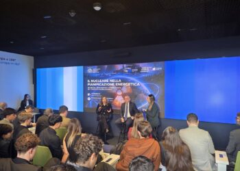 Nucleare e pianificazione energetica: il dibattito a Roma sulle strategie di approvvigionamento