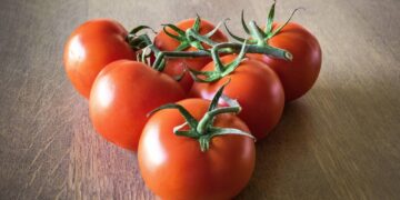 Arrivano i pomodori egiziani, medico-nutrizionista: “Quelli italiani più buoni e sicuri”