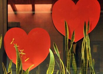 L’amore fa bene al cuore, lo dice la scienza: ecco cosa cambia se si è in coppia