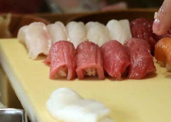 Pesce crudo e rischio epatite, l’immunologo: “Ecco quando può accadere”