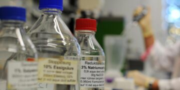 Scoperto un meccanismo molecolare di una sindrome del neurosviluppo