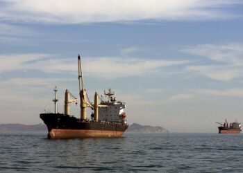 Hormuz e petrolio, Trump: “Usa avanti da soli”. Arriva la nave con 2200 marines